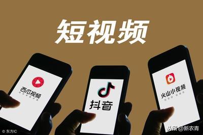 传统电商与自媒体电商 当今农村农产品的最优选择——短视频模式的优势愈发凸显
