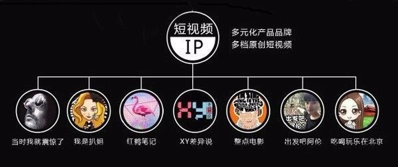 震惊文化以轻内容撩拨亿万粉丝